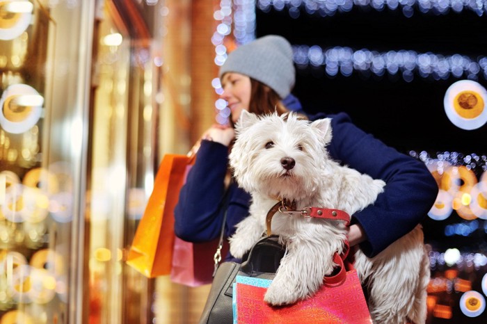 買い物している女性と犬