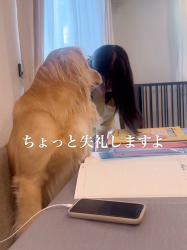 お姉ちゃんを見つめる大型犬