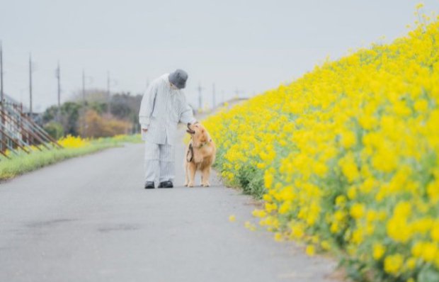 愛溢れる光景