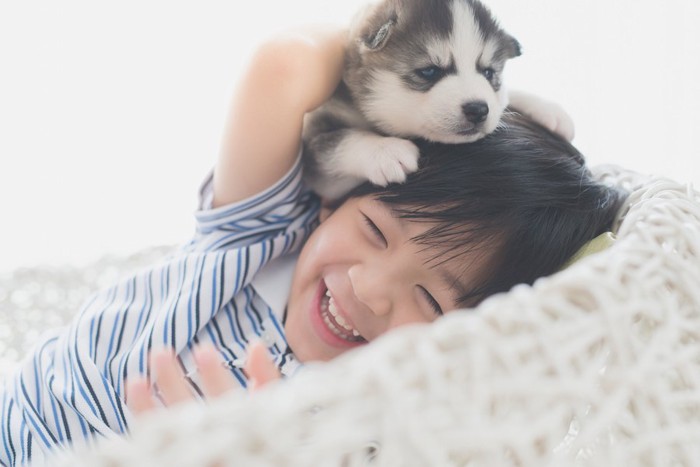 子供と一緒に遊ぶ子犬