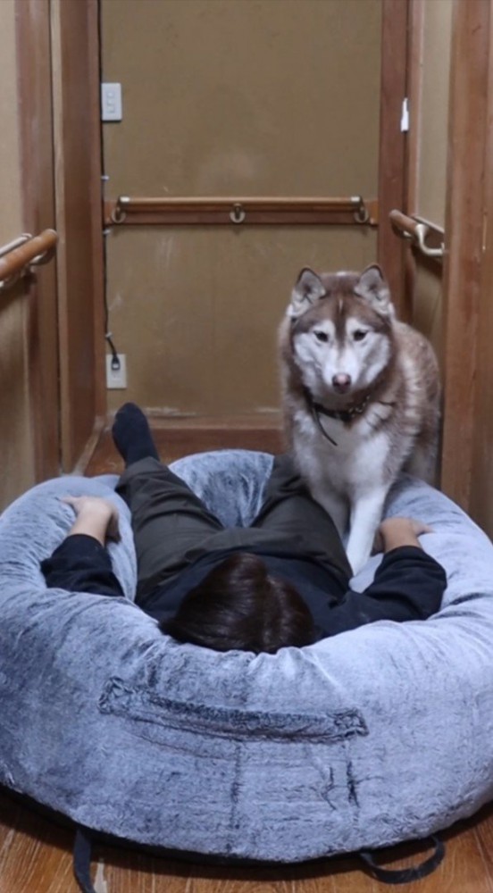 通れなくて困るウノちゃん