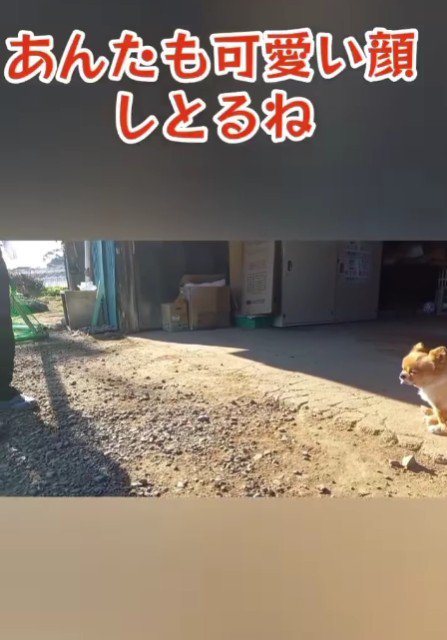 庭で日向ぼっこをしていたら…
