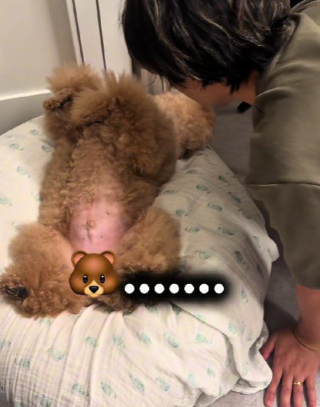 全然起きないピンちゃん
