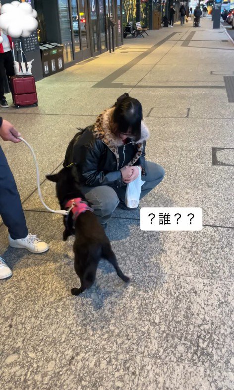 「誰?」と匂いをクンクン…