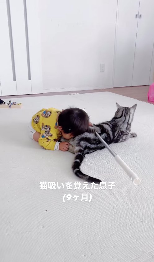 猫のお尻に顔を埋めている子供