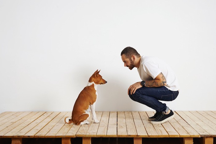 向かい合って座る犬と男性