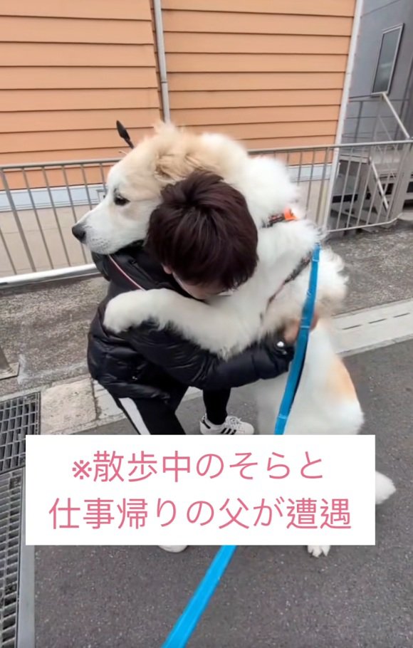 パパに抱きつくそら君
