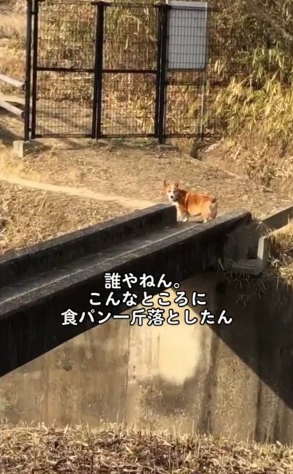 こんなところに…