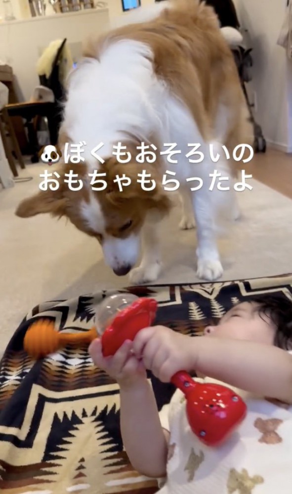赤ちゃんも遊んでいます