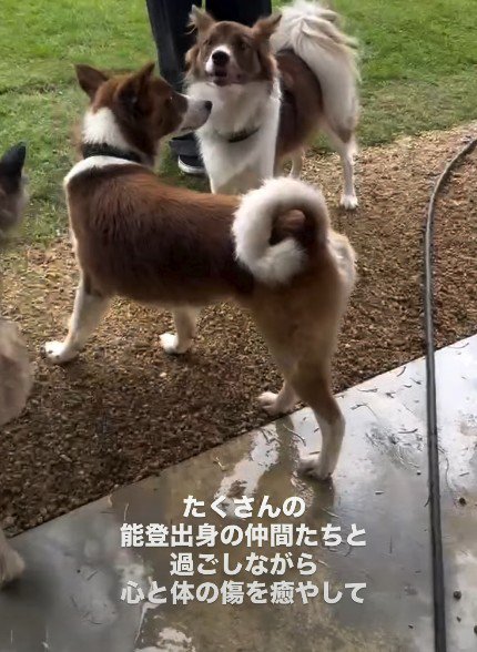 徐々に心の安定を取り戻す