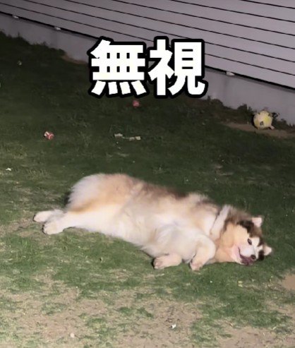 深夜2時の奇行！？