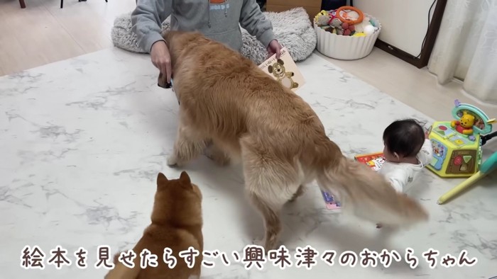 興味津々なおからちゃん