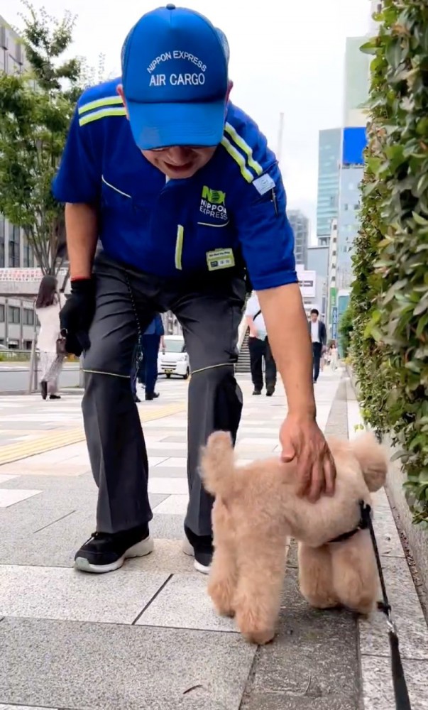 配達員に撫でられる犬