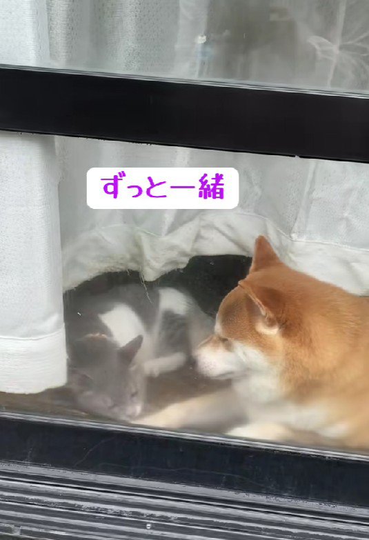 すぐに仲良くなった