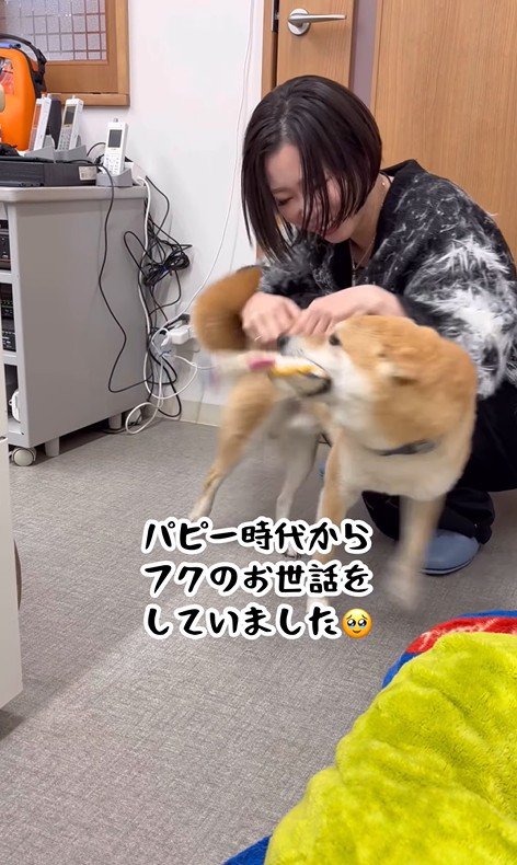 じゃれて甘えるフクちゃん