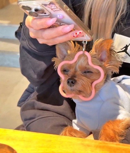 お目目がショボショボ…