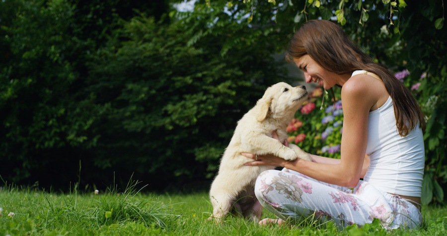 子犬と芝生で遊ぶ女性