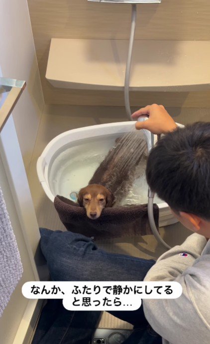 お風呂に入っていた