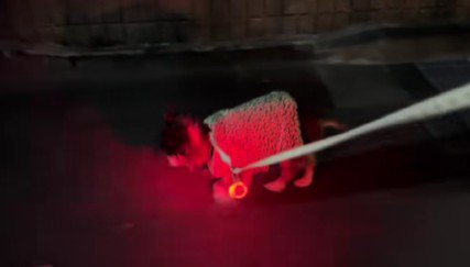 頑張れ!!ぽっちゃん!!