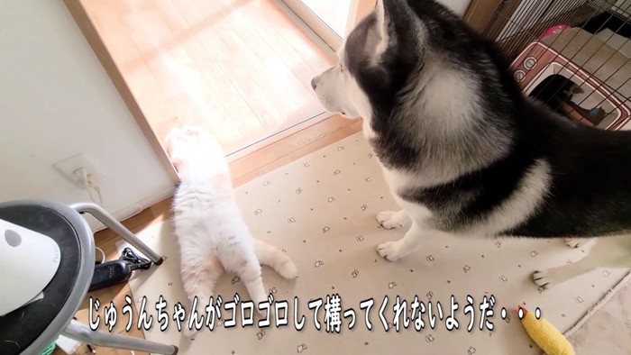 はっちゃんとじゅんちゃん