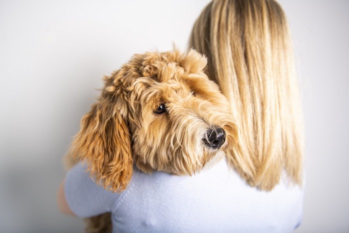 女性に抱っこされる犬