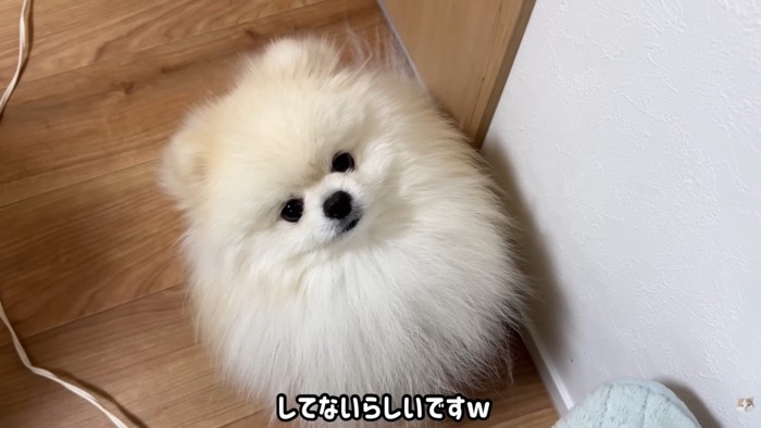 「してないのね」と認めてあげたら…