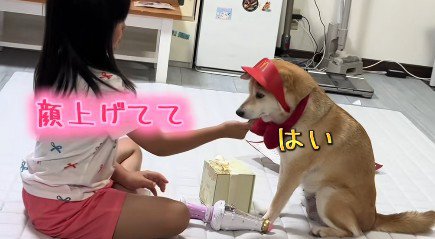 ハンバーガーショップの店員さん