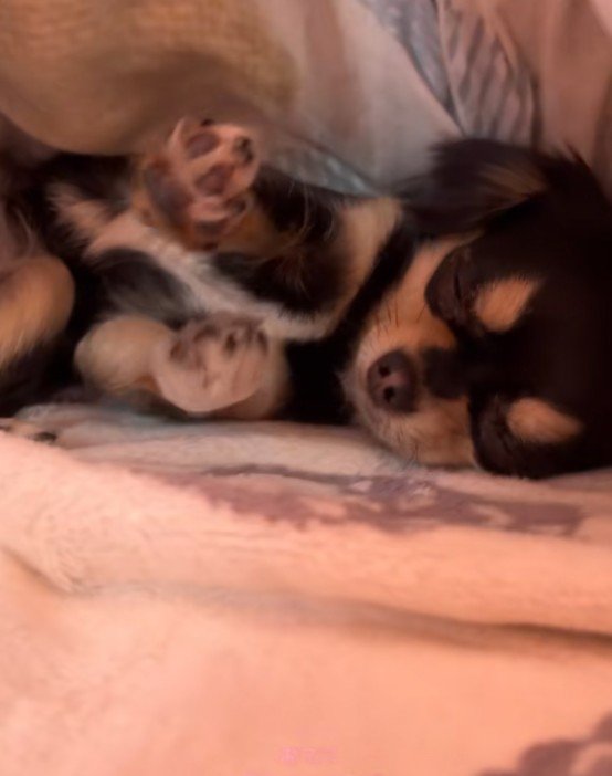 不思議な体勢でフリーズ！？