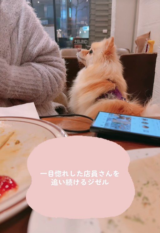 店員さんが動くと…