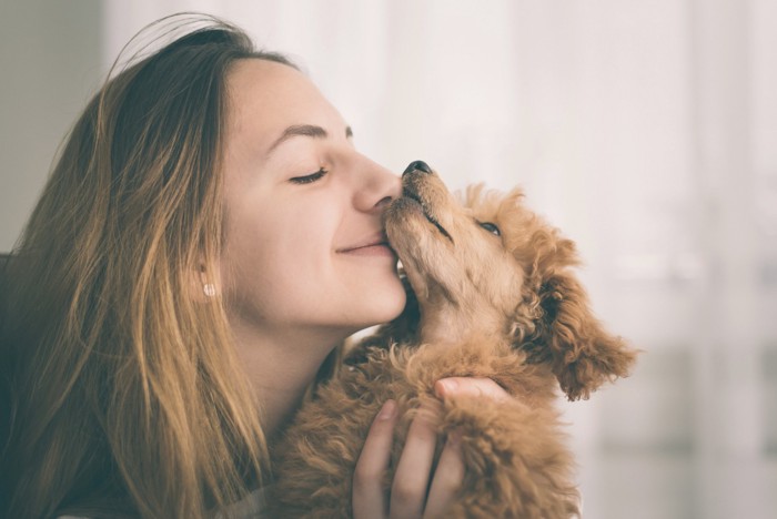 トイプードルにキスをする女性