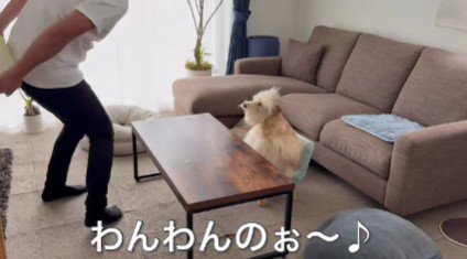 大好物の白菜をプレゼント