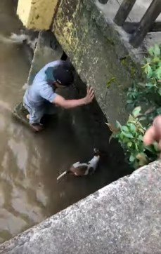 男性を見上げる犬