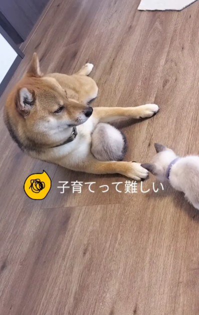 「もうちょっと！！」