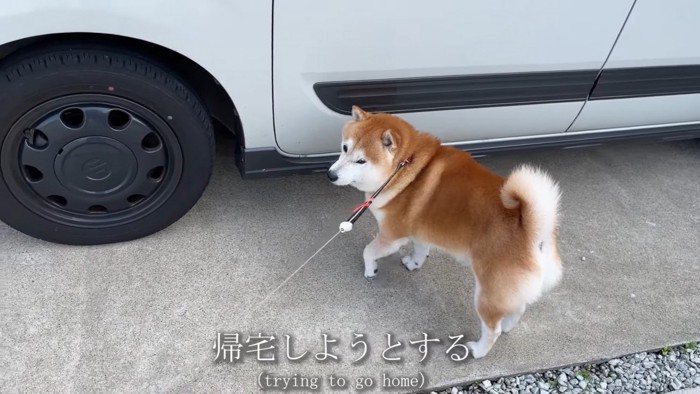 車に戻ろうとしたり…