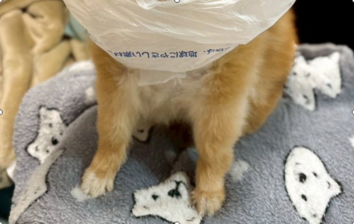 突然