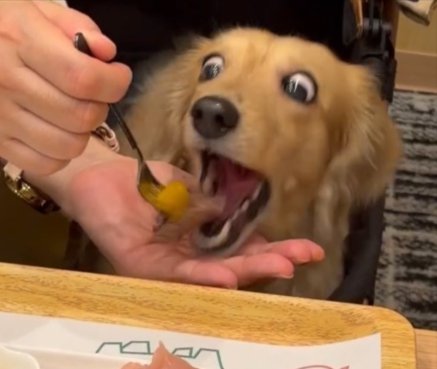 衝撃