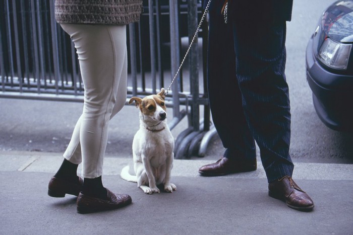 会話中の人とお座りして待つ犬