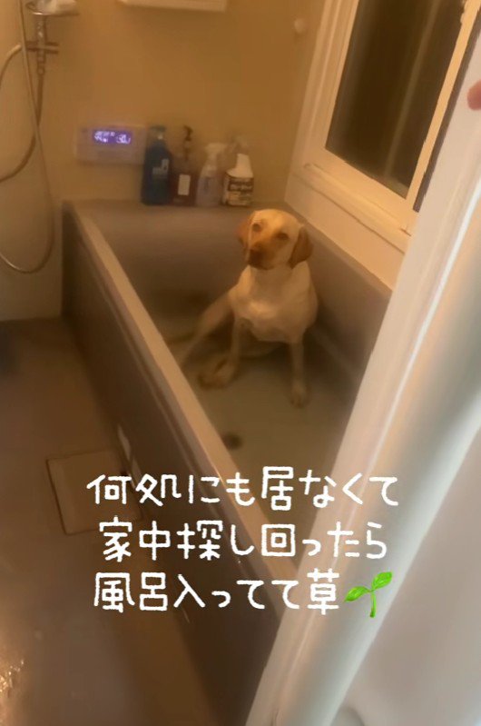 家の中を大捜索したら…