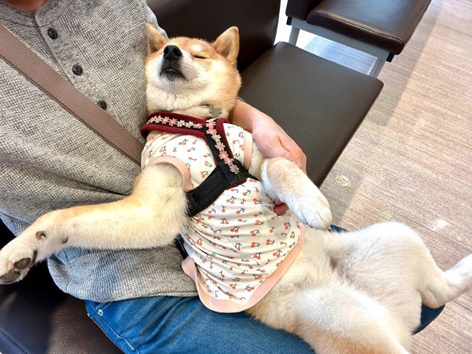 動物病院