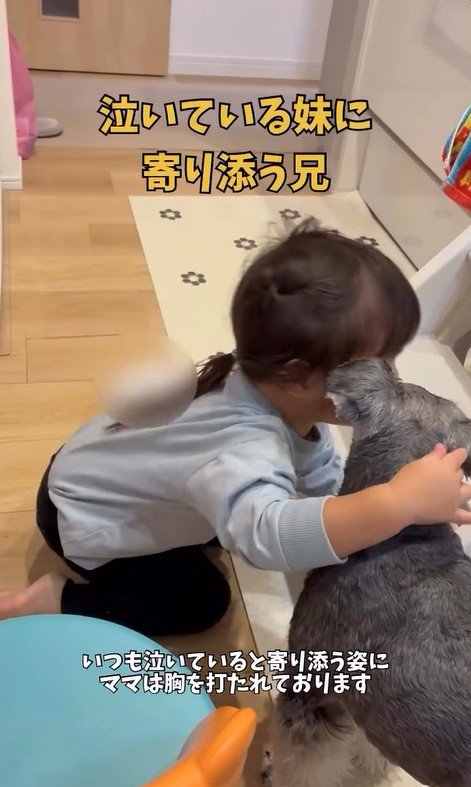 女の子に寄り添うこたろう君5