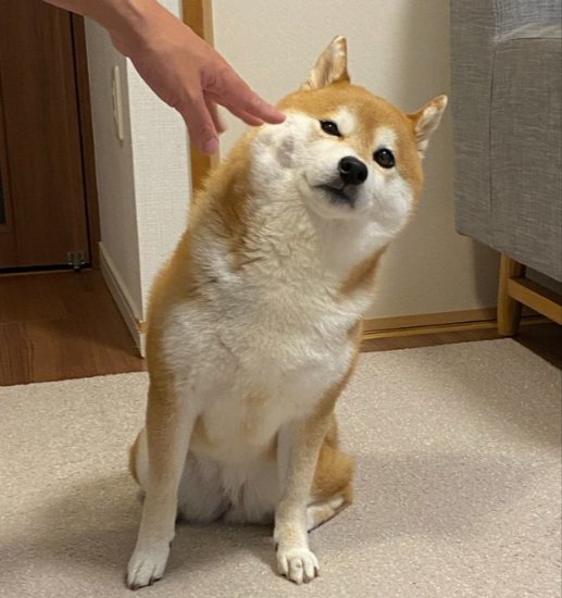 そんなに