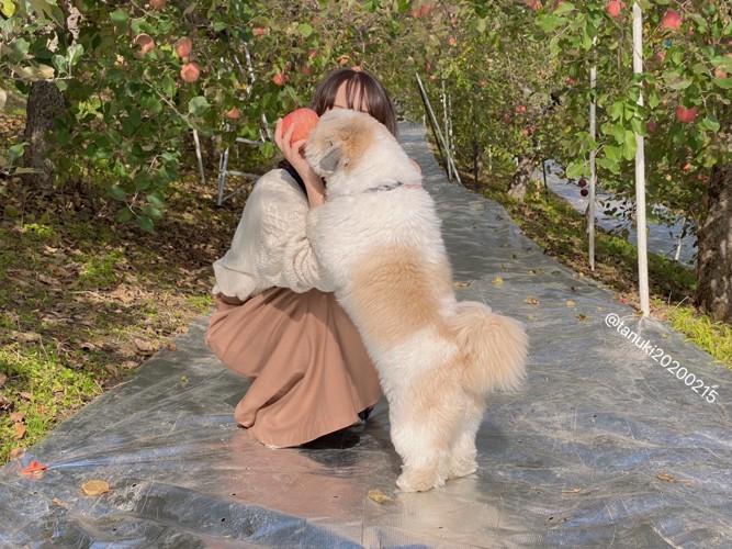 小型犬