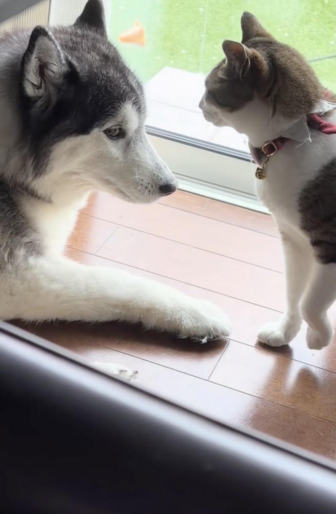 「なんでだめなん？」