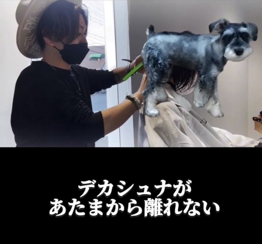 仕事中の人