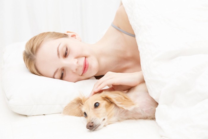 女性と一緒にベッドで横になる犬