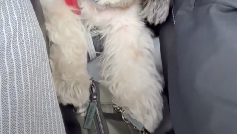 後部座席に目をやると…?