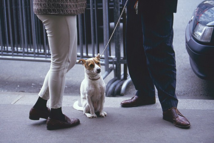 散歩中の犬と話し中の二人