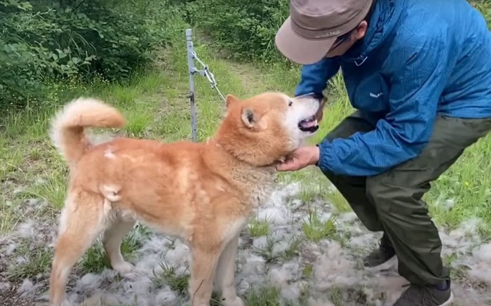 男性に顔を近づける犬