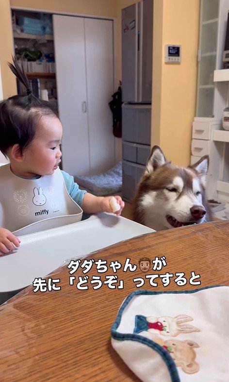 梨を食べるZIGGYくんと男の子3