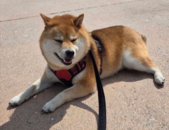 素敵な笑顔